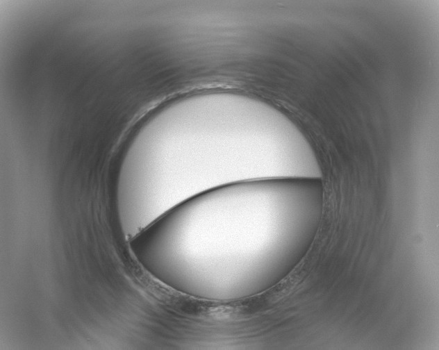 X0000053020064200508051237
