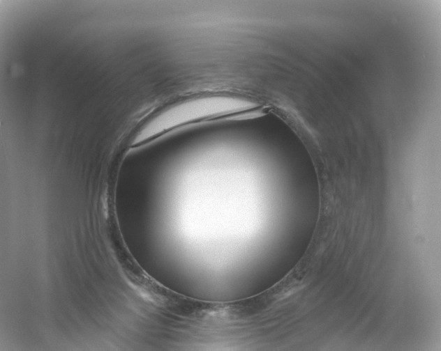 X0000053020068200508051238