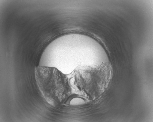 X0000053020069200508051238