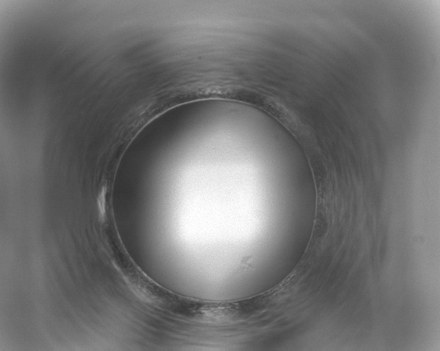 X0000053020070200508051238