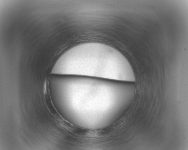 X0000053020076200508051238