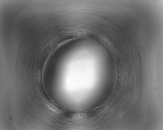 X0000053020077200508051238