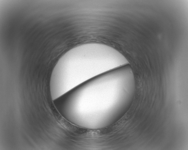 X0000053020080200508051238