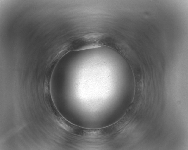 X0000053020081200508051238