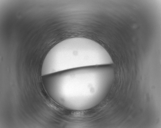 X0000053020084200508051238