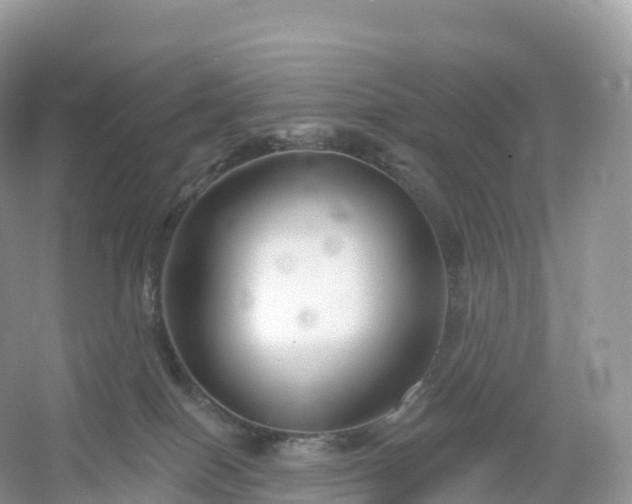 X0000053020086200508051238