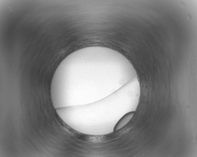 X0000053020089200508051238