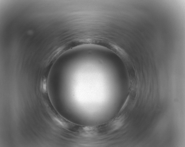 X0000053020095200508051238