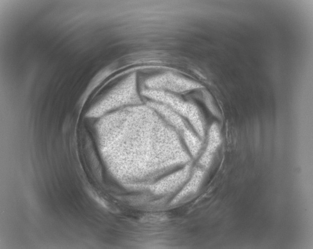 X0000053020099200508051237