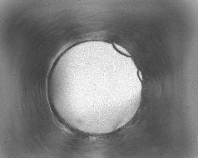 X0000053020100200508051237