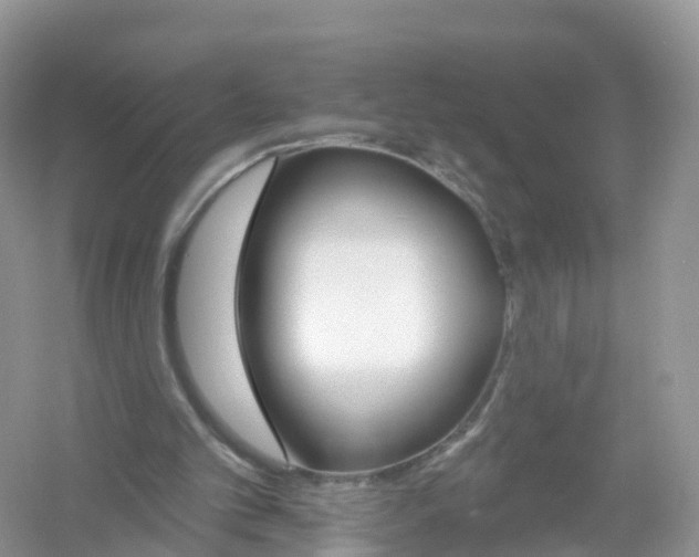X0000053020101200508051237