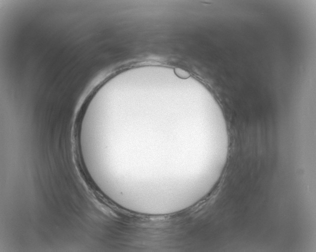X0000053020102200508051237