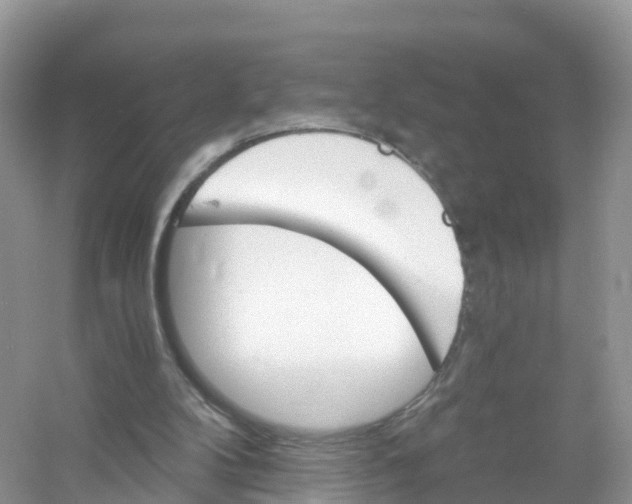 X0000053020104200508051237