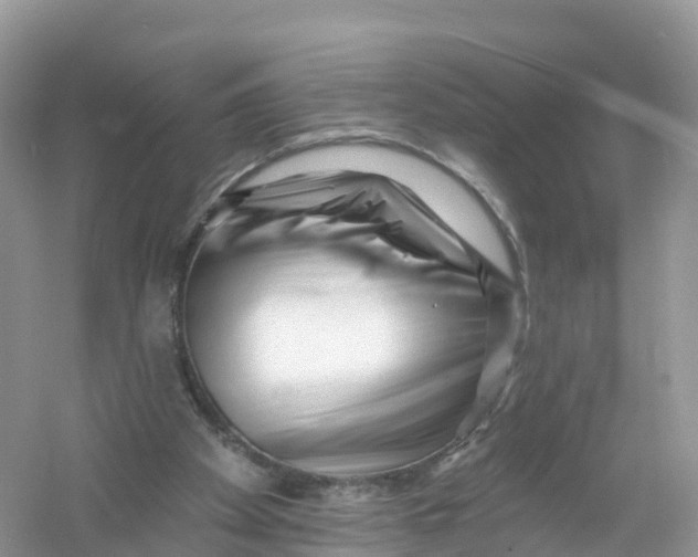 X0000053020105200508051237
