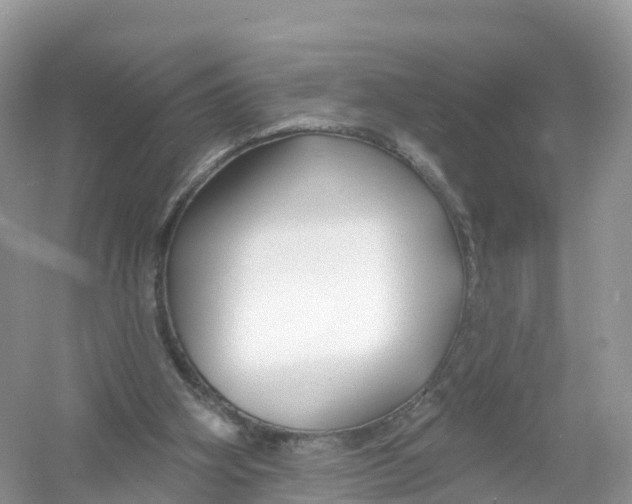 X0000053020106200508051237