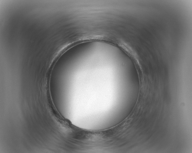 X0000053020107200508051237