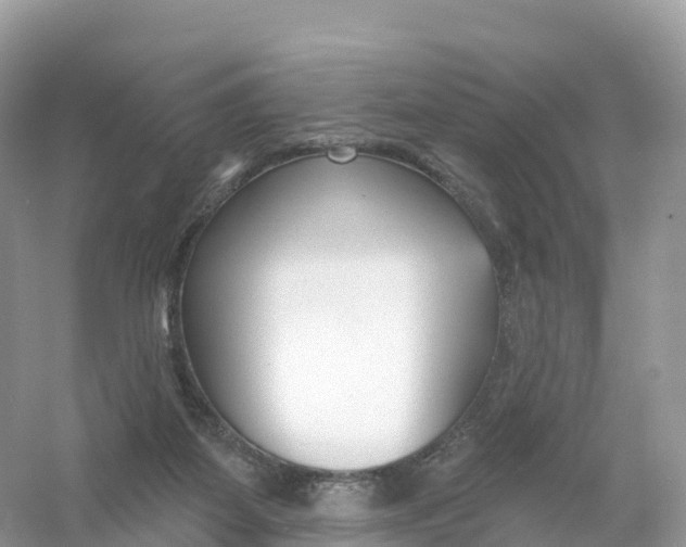 X0000053020115200508051237