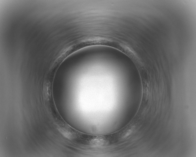 X0000053020119200508051237