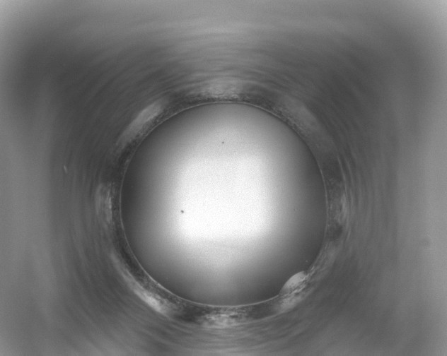X0000053020120200508051237