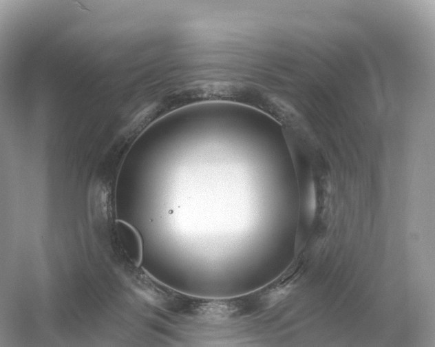 X0000053020123200508051237