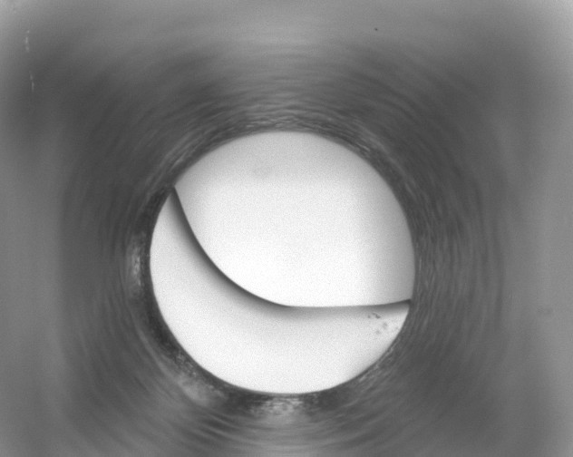 X0000053020124200508051237