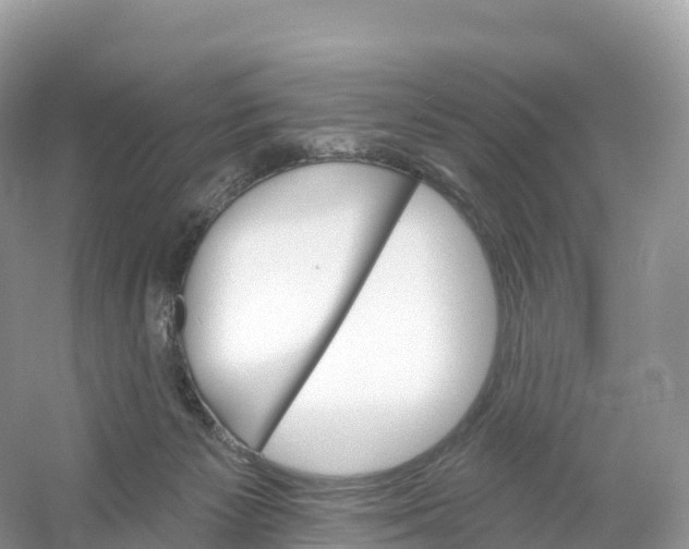 X0000053020125200508051237