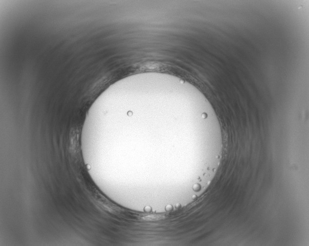 X0000053020126200508051237
