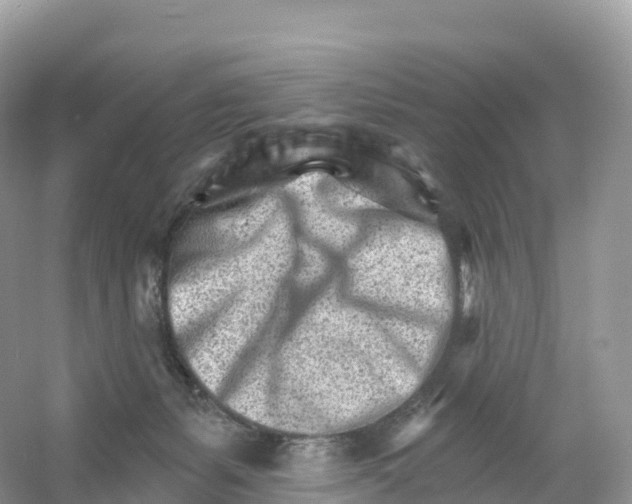 X0000053020127200508051237