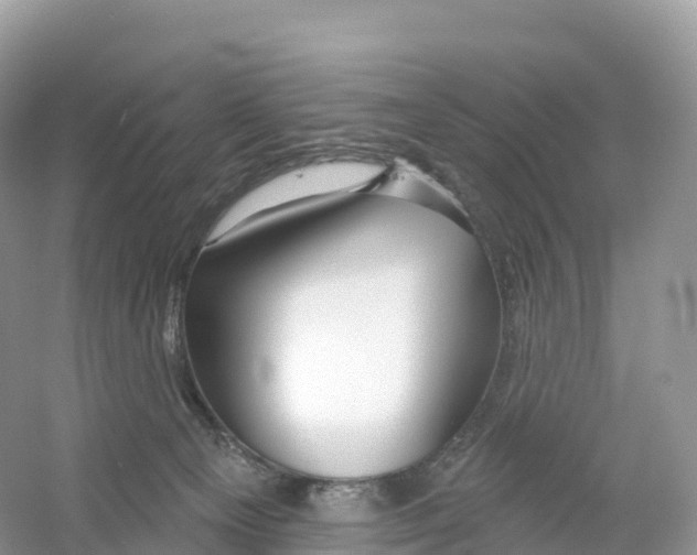 X0000053020129200508051237