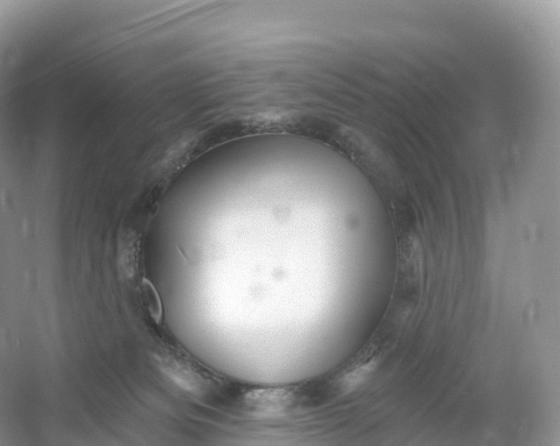 X0000053020133200508051237