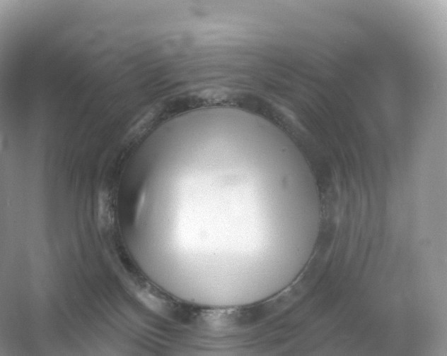 X0000053020136200508051237