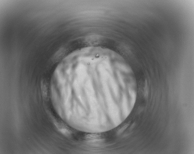 X0000053020139200508051236