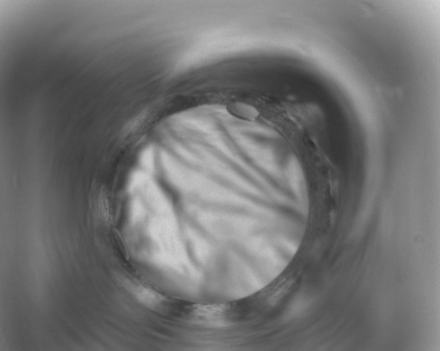 X0000053020143200508051236