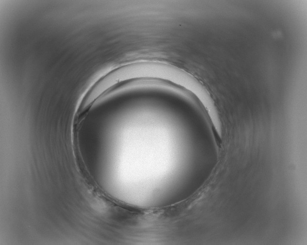 X0000053020148200508051236