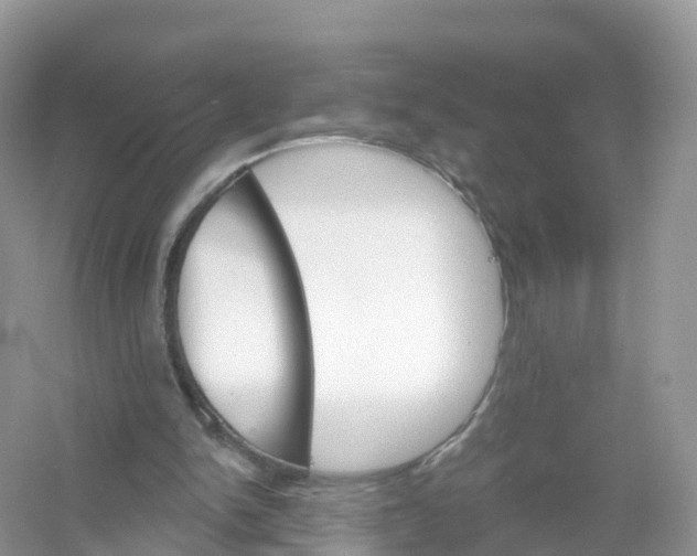 X0000053020150200508051236