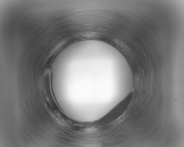 X0000053020158200508051236