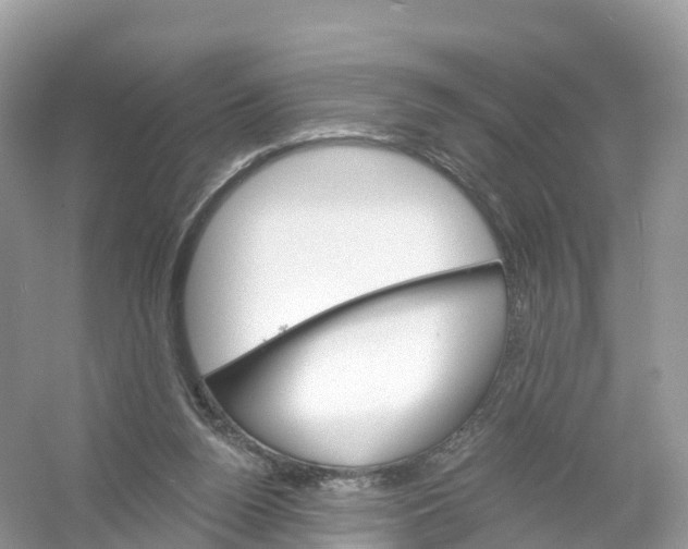 X0000053020160200508051236