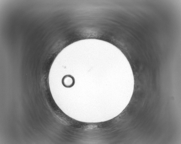 X0000053020162200508051236