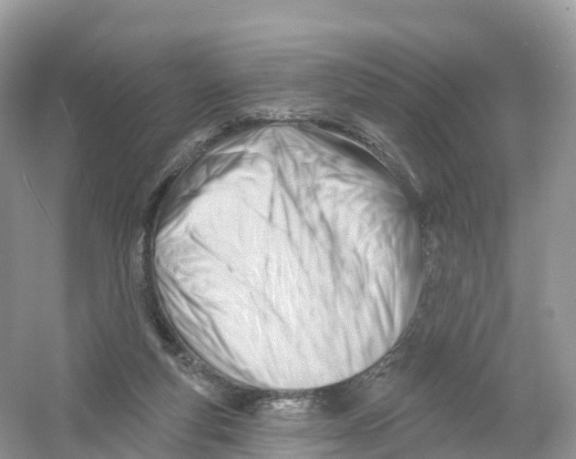 X0000053020163200508051236