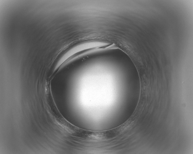 X0000053020164200508051236