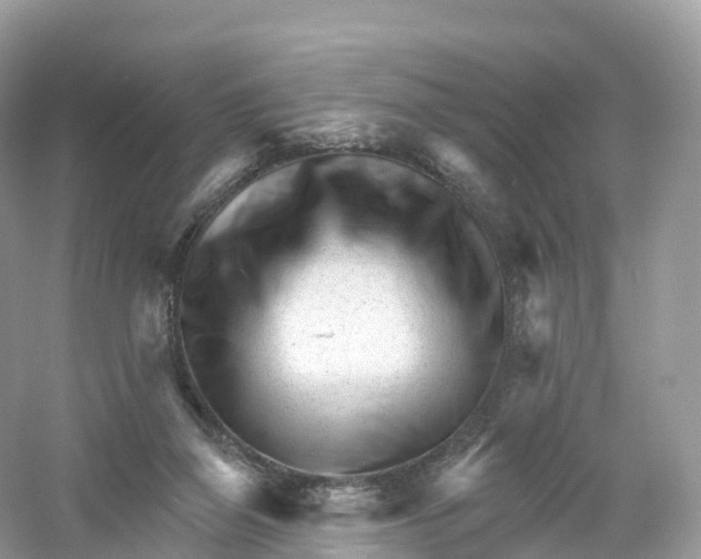 X0000053020165200508051236