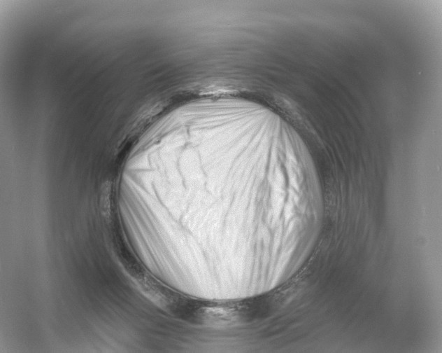 X0000053020167200508051236