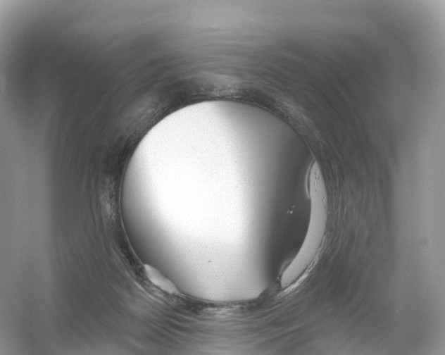 X0000053020170200508051236