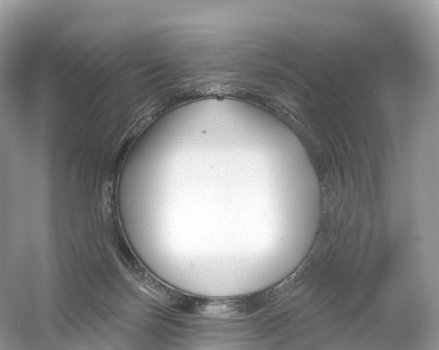 X0000053020171200508051236