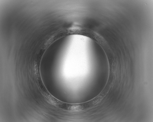 X0000053020173200508051236