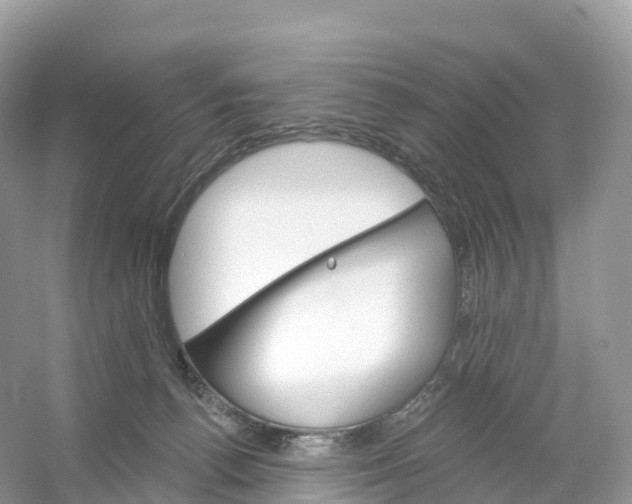 X0000053020176200508051236