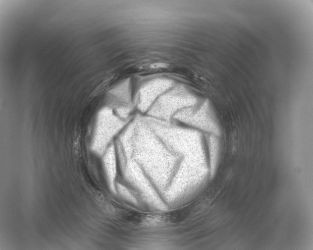 X0000053020177200508051236