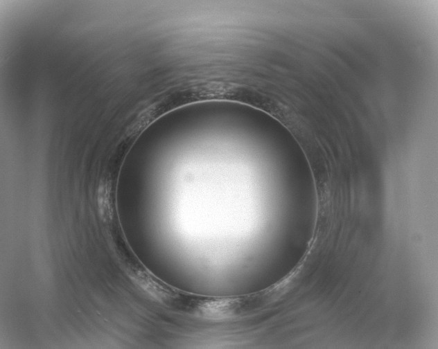 X0000053020178200508051236