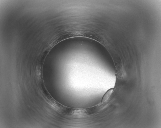 X0000053020179200508051236