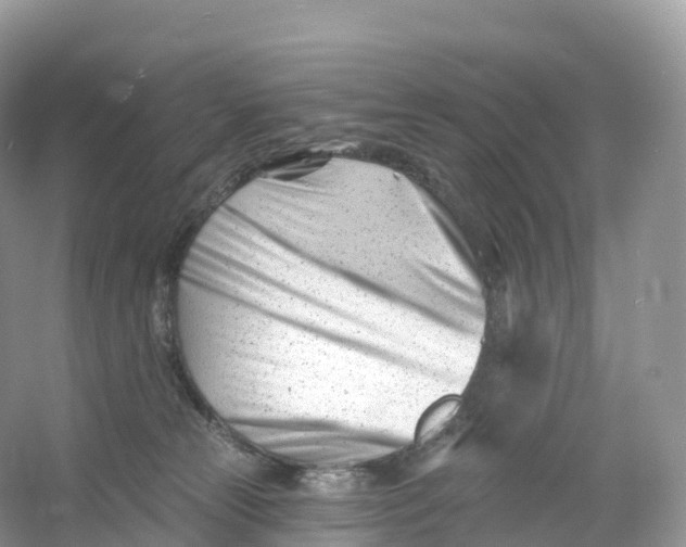 X0000053020181200508051236